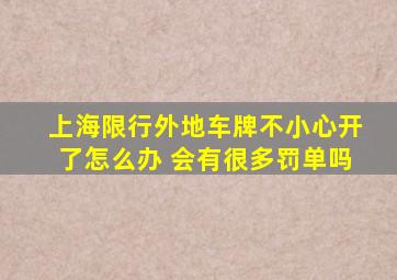 上海限行外地车牌不小心开了怎么办 会有很多罚单吗